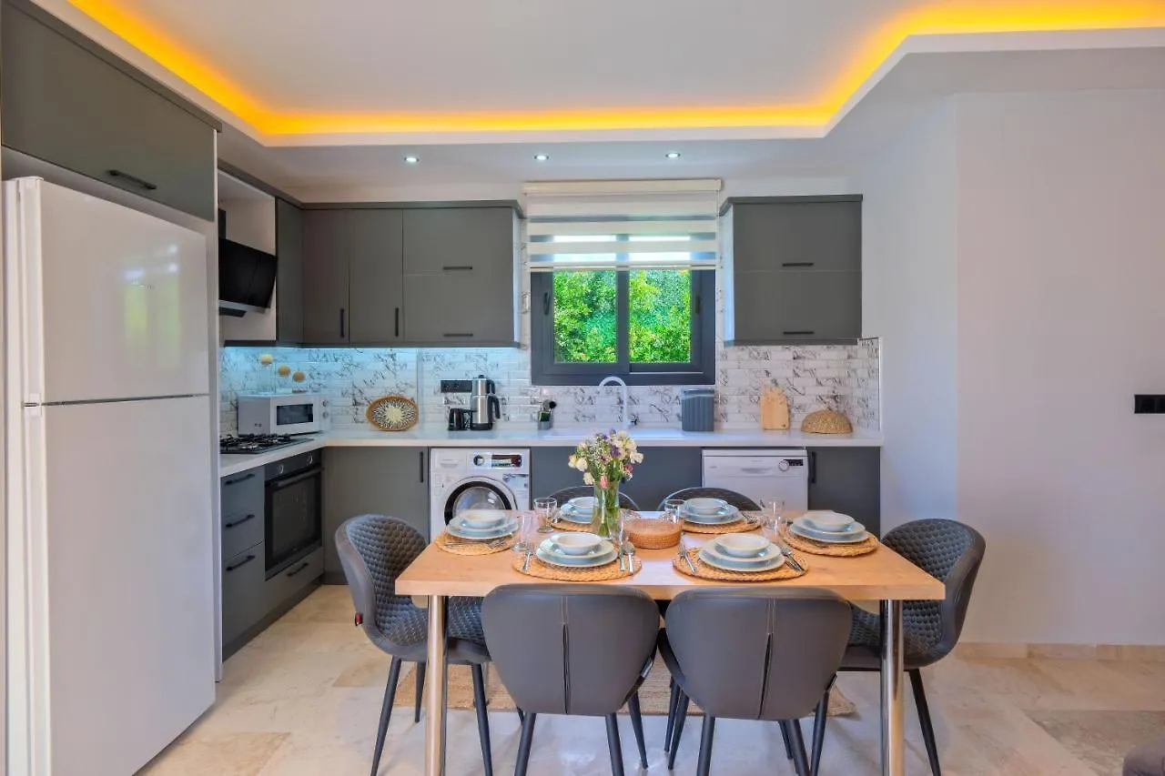 Enu Villa 2 Fethiye Turkey
